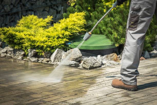 Best Roof Washing  in Rolling Fork, MS